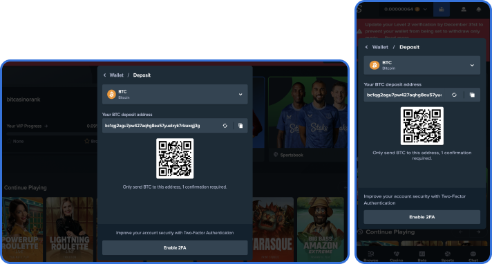 Stake Casino Payment Methods
