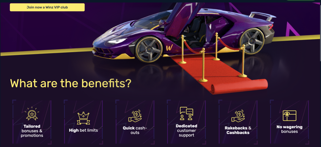 Features of the best bitcoin casinos for VIP players