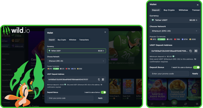 Wild.io Casino Payment Methods